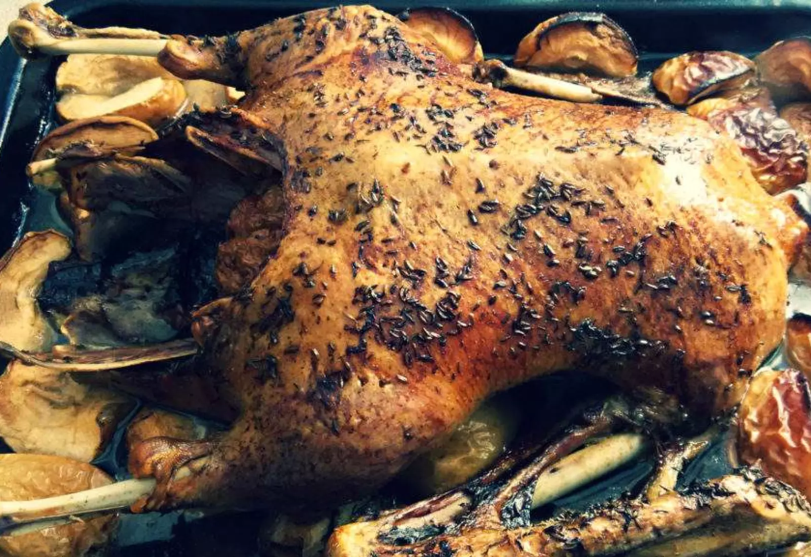 Sváteční husa na jablkách